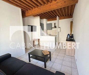 Location Appartement 2 pièces 30m² ST ETIENNE 42000 - Photo 2