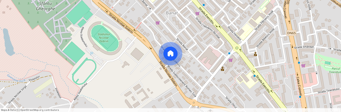 Strada Maior Sever Niculescu, Banat, Pitesti, Arges