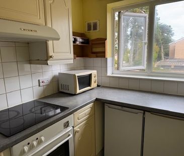 1 Bed Flat, Chichester Road, CR0 - Photo 5