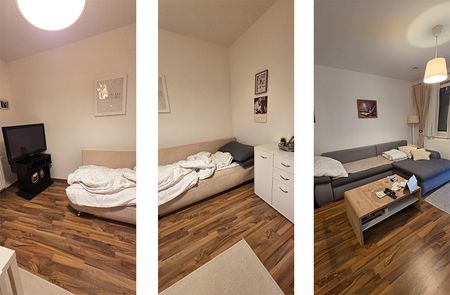 barrierefreie Wohnung in Sierndorf - Foto 2