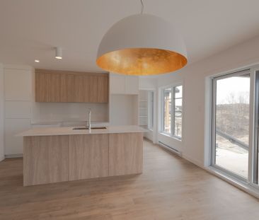 Grand 5 1/2 Place Des Cavaliers - Photo 2