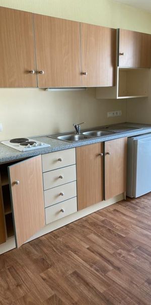 Location Appartement 1 pièce 19m² NANTES 44000 - Photo 1