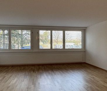 Completely renovated studio - Photo 1