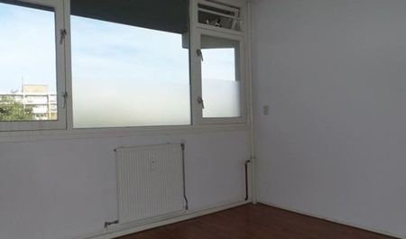 Milanenhorst 0ong, 2317 CL Leiden, Nederland - Foto 4