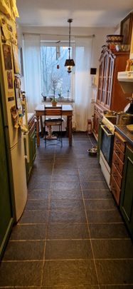 Doktor Forselius Backe, Göteborg - Photo 1