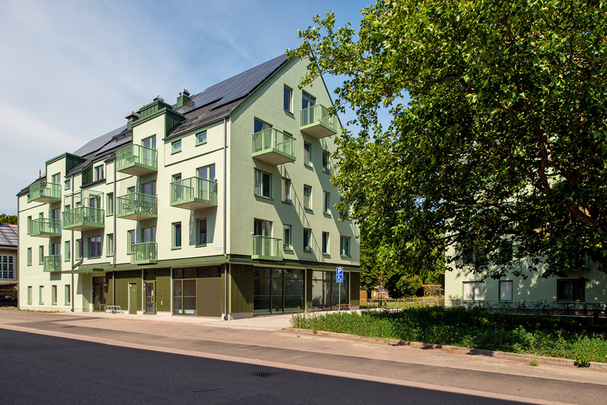 Ruben Holmströms gata 6, Sege Park - Foto 1