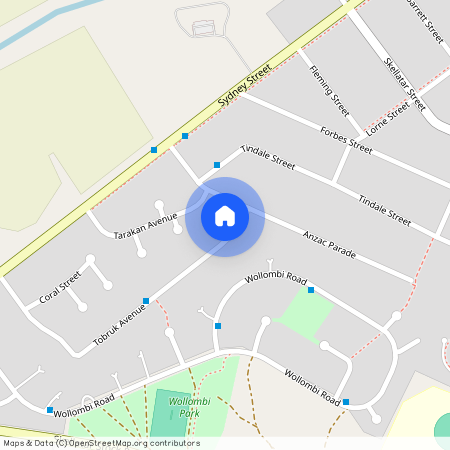 58 Tobruk Ave, NSW 2333, Muswellbrook