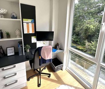 Gold River Studio - Photo 2