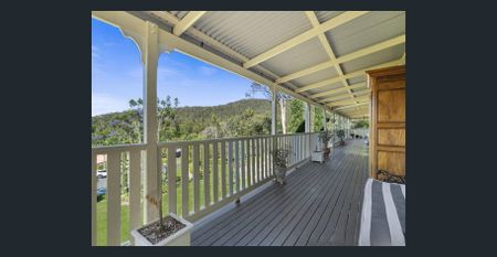 Your Hinterland Sanctuary — Queenslander in Bonogin Valley - Photo 4