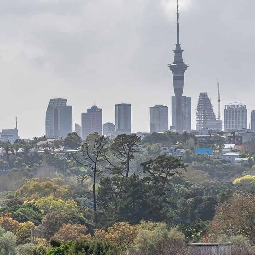 Incredible city views & pet friendly - Photo 1