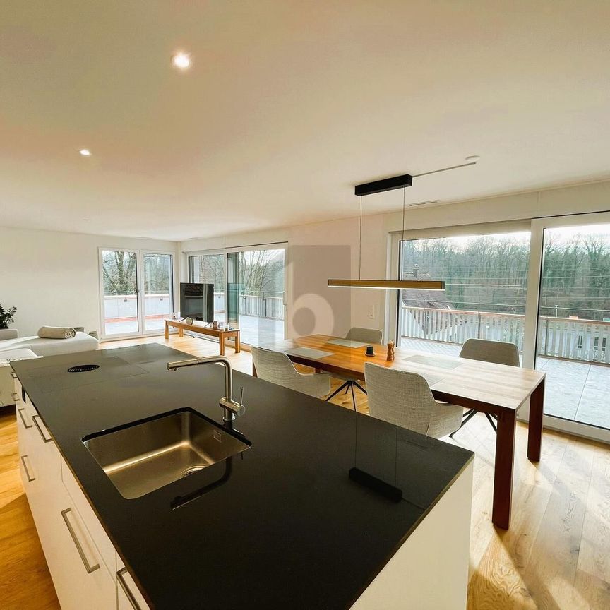 DREAMLIKE VIEW OF THE WILDEGG CASTLE - Photo 1