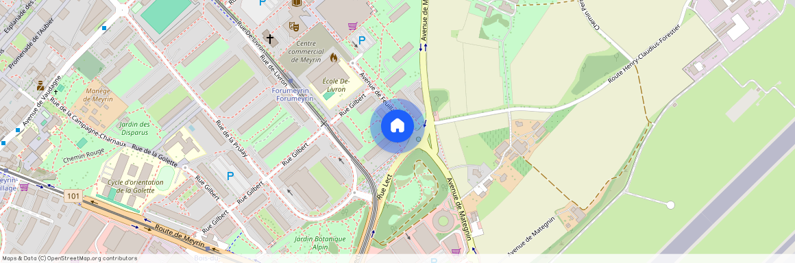 Avenue de Feuillasse 11, 1217 Meyrin