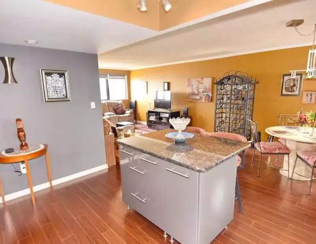 Royal Windsor Terrace! SKYLINE Apartment! | 380 Pelissier Street, Windsor - Photo 1