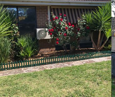 Mornington - Photo 3