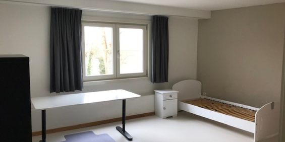 Wagenmakersstraat 2, kamer 12 - Photo 3