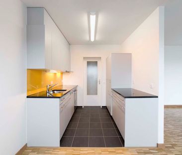 3.5 Zimmer, 77 m², 14. Stock - Photo 5