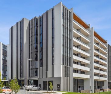 207/44 Constitution Avenue, Parkes ACT 2600 - Apartment For Rent | ... - Photo 4