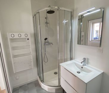 Location Appartement 1 pièce 17m² LILLE 59000 - Photo 2