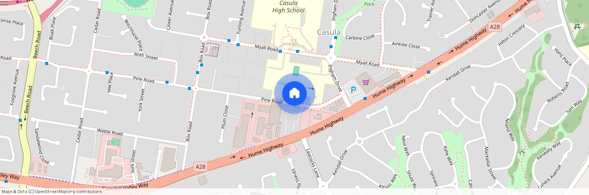 19a Pine Road, NSW 2170, Casula