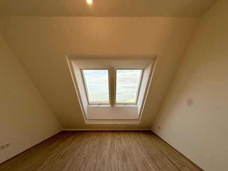 1 Monat Mietzinsfrei: Erstbezug im Grünen Nahe der U2 - zwischen Badeteich Hirschstetten & Seestadt - Photo 2