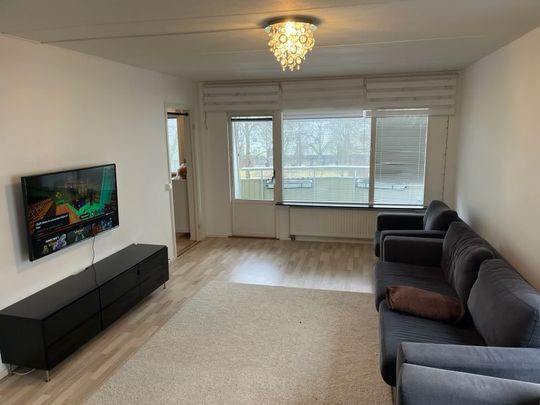 Oxens gata, Brandbergen - Foto 1