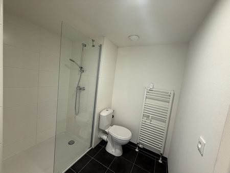 Location Appartement 1 pièce 24m² STRASBOURG 67100 - Photo 5