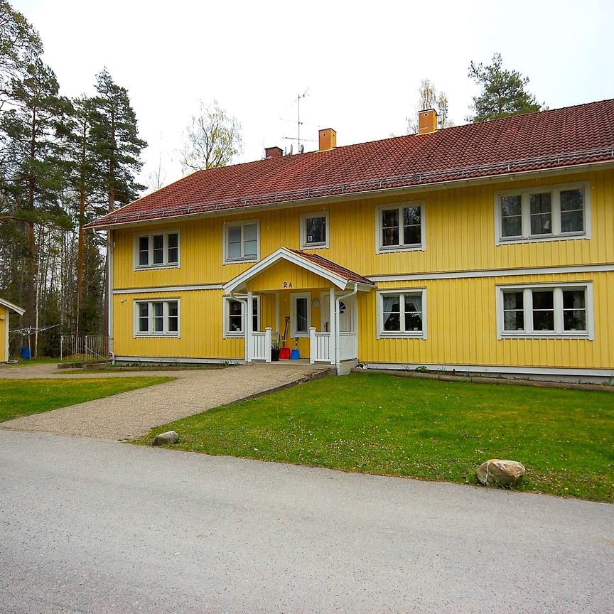 Otteshagen: Etta i lummigt område på nedre botten - Photo 1