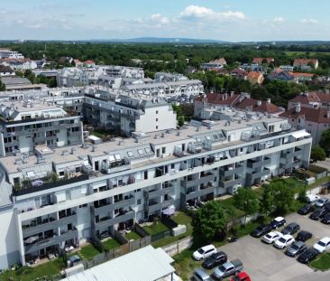 Das Beste aus Stadt und Natur! Wohnen im Herzen von Wiener Neustadt! - Photo 6