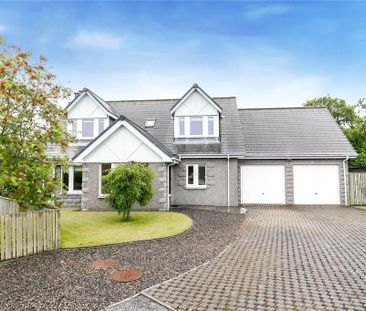 4 bedroom detached house to rent - Photo 4