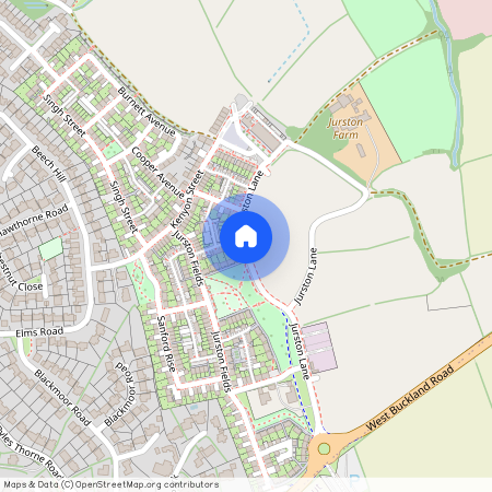 Jurston Fields, Wellington, TA21