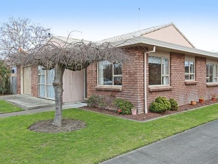 Gloucester Street, Taradale - Photo 4