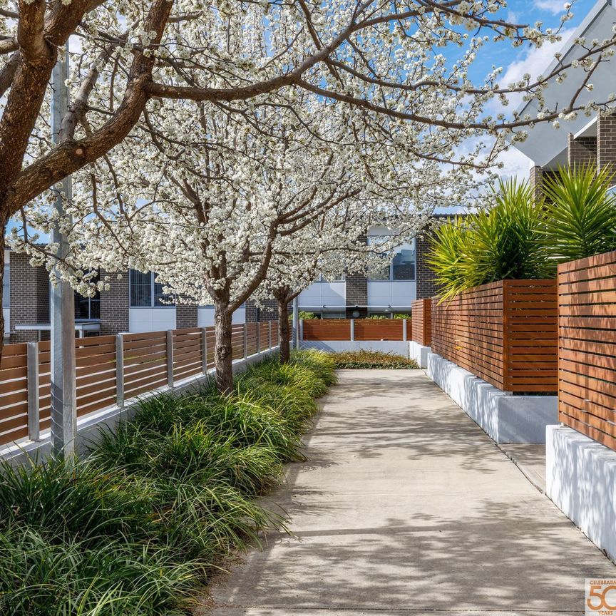 55/47-49 Mowatt Street, Queanbeyan NSW 2620 - Apartment For Rent | Domain - Photo 1