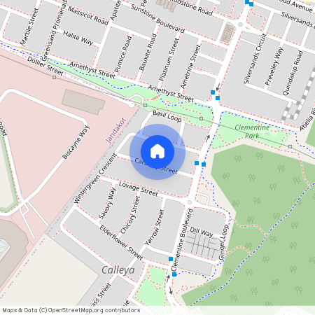 Caraway Street 14, WA 6164, Treeby