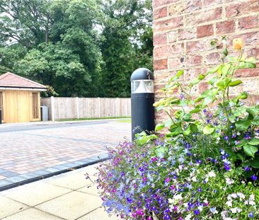 1 bedroom apartment to rent - Photo 6