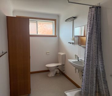 Freshly Updated & Ready to Impress - Photo 6