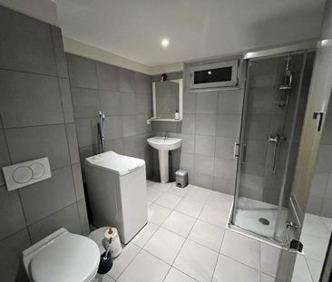 Location Appartement 1 pièce Meublé 33m² LE BOURGET DU LAC 73370 - Photo 4