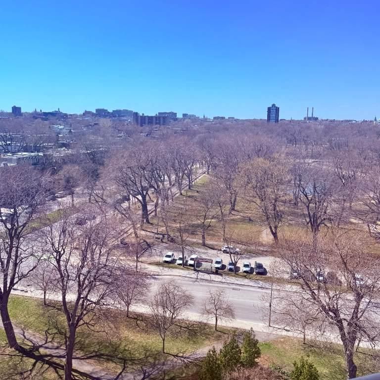 Studio à louer – unique vue sur le parc Lafontaine et Mont-Royal | rue Sherbrooke Est, 12e étage - Photo 2