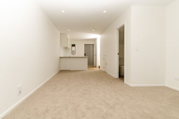 Brand new two bedroom + study with 3 heatpumps!!! - Photo 1