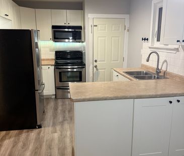 For Lease - 257 Silverbirch Drive Unit# Main, Newmarket, Ontario - Photo 6