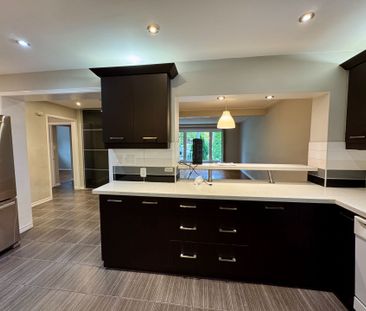 For Lease - 30 Ivordale Crescent Unit# Main, Toronto, Ontario - Photo 5