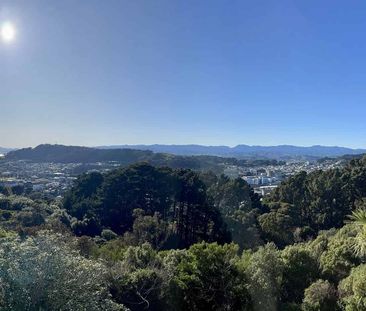 Spacious 2 Bed 2 Bath with Sun, Views & Courtyard - Photo 3