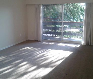 Villa Mistral — 1 Bedroom - Photo 4
