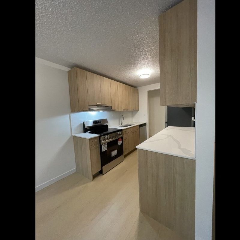 989 Lytton Street - Photo 1