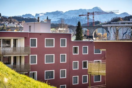 "Bachwis - Natürlich mehr vom Leben" - Foto 4