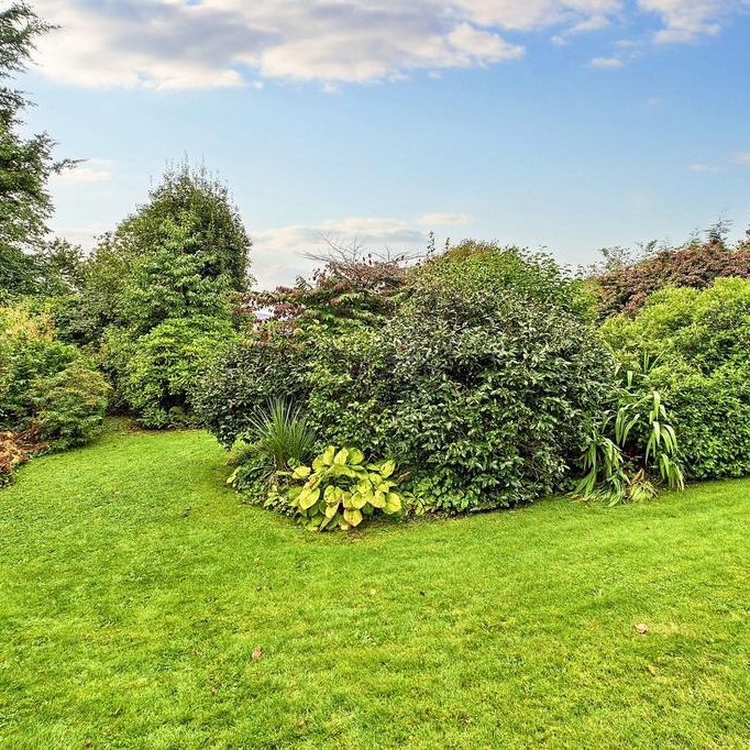 2 bedroom detached bungalow to rent - Photo 1