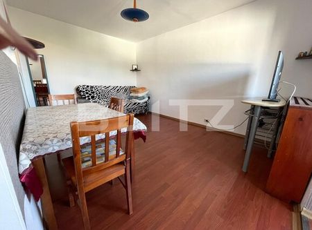 Garsoniera, 30 mp, mobilat/utilat, zona strazii Portile de Fier - Photo 4
