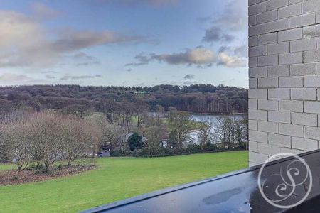 Lake View Court, Leeds, LS8 - Photo 4