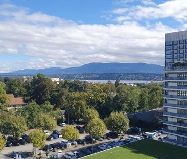 Appartement spacieux vue Lac et Parc - Foto 2