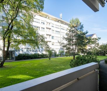 Zwischen Gartenbad Bachgraben und Kannenfeldpark - helle 3-Zimmerwo... - Foto 5