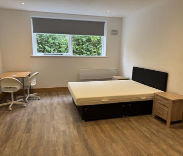 Studio to rent - Photo 4